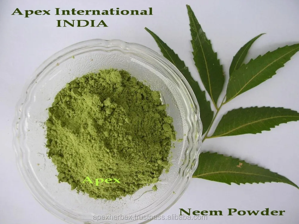 Azardirachta Indica Kernel Deoiled Cake Neem kernel Cake Powder Neem kernel Cake