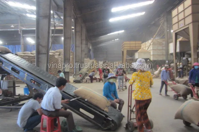 Green Coffee Beans made in Vietnam, Organic Coffee Bean best price best quality