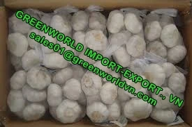 GARLIC WITH HIGH QUALITY AND CHEAP PRICE IN THE MAIN SEASON