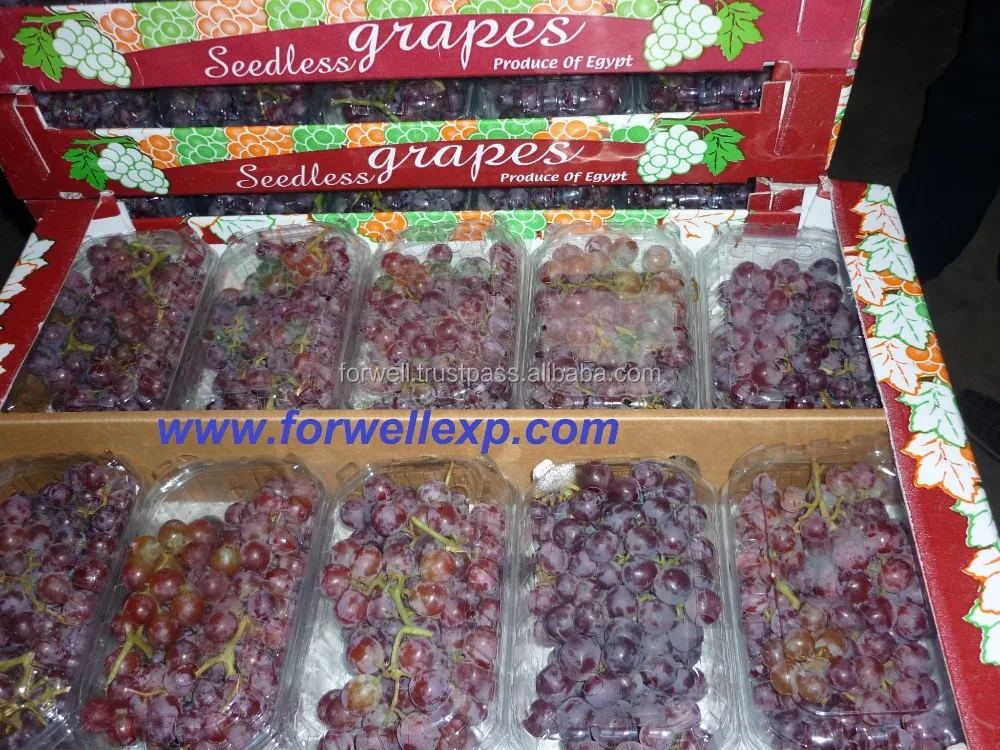 Tasty Fresh Seedless Grapes (Flame & Superior) Class One