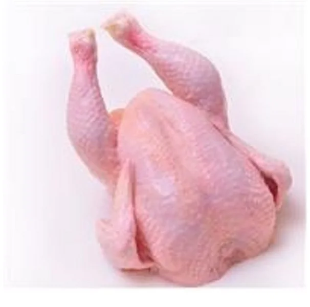 
HALAL FROZEN WHOLE CHICKEN FOR SALE  (50031611378)