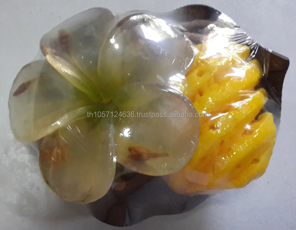 Coconut shell with Fruit and Flower shape soap gift set