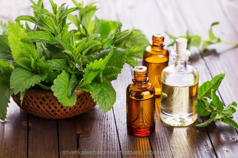 Cold Pressed Oil Bulk Best High Quality 100% Pure Natural Organic Peppermint Essential Oil - Wholesale Manufacturer Exporter