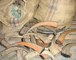 Indian viking natural Buffalo Horn solid  Tips available in bulk in India by crafts galore agate