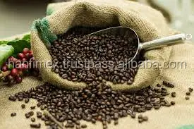 Robusta Coffee S16 faq/cleaned/wet polished green bean SKYPE HANFIMEX08