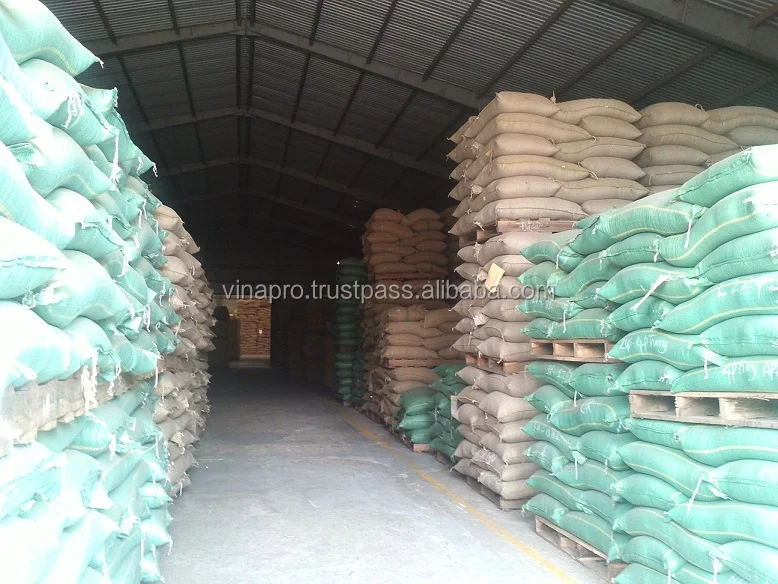 Green Coffee Beans made in Vietnam, Organic Coffee Bean best price best quality