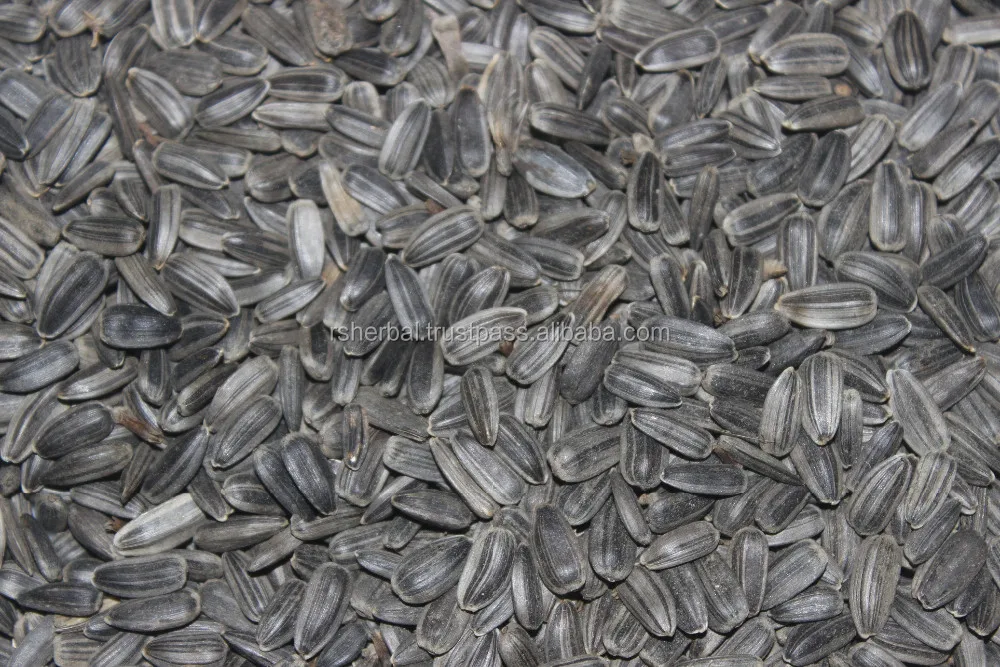 Sunflower cooking oil