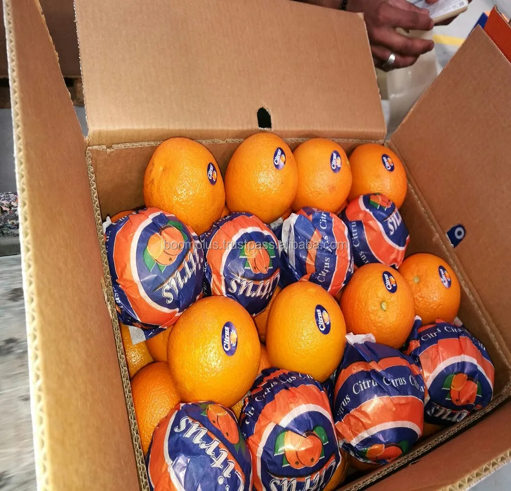 Sweat Orange Fruit | High Quality | Egyptian Origin