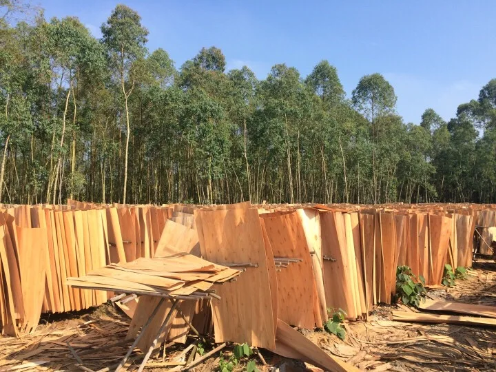 
Eucalyptus Core veneer 1270*640mm 1.7mm with good price 