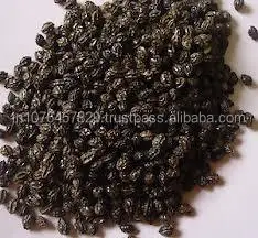 PRICE OF F1 HYBRID PAPAYA SEEDS - MARUTI RED GLORY F1