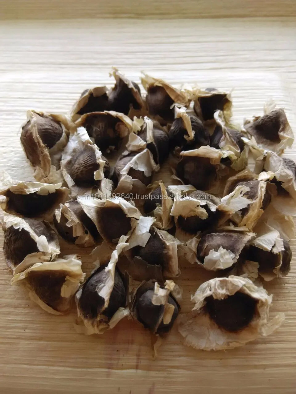 Семена Моринги в упаковке 1 кг