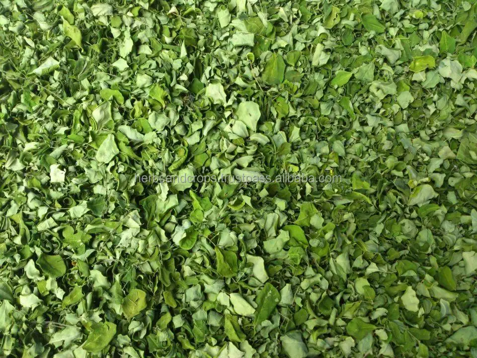 Premium Quality Organic Dried Moringa Leaves