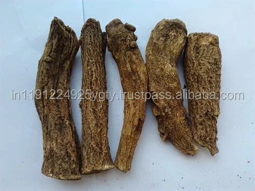100% Pure High Quality Costus Root Essential Oil