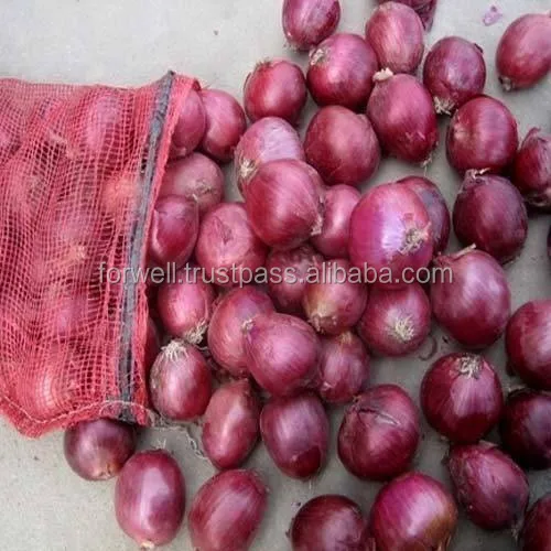 Egyptian Fresh Red Onion For Export