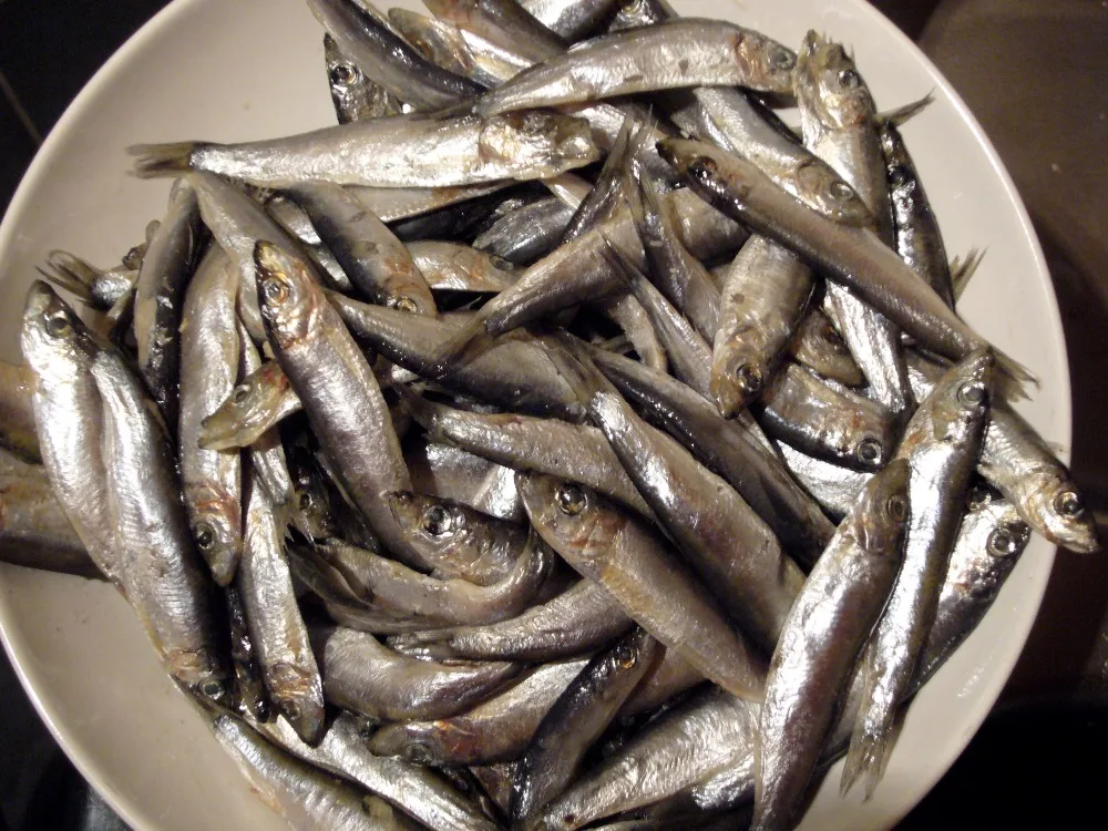 
DRIED HERRING - SARDINELLA ( Sardinella Gibbosa ) 