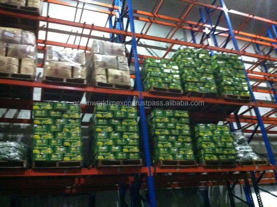 FRESH LEMON IN VIETNAM WITH LARGE QUANTITY