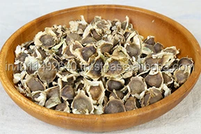 Семена Моринги в упаковке 1 кг