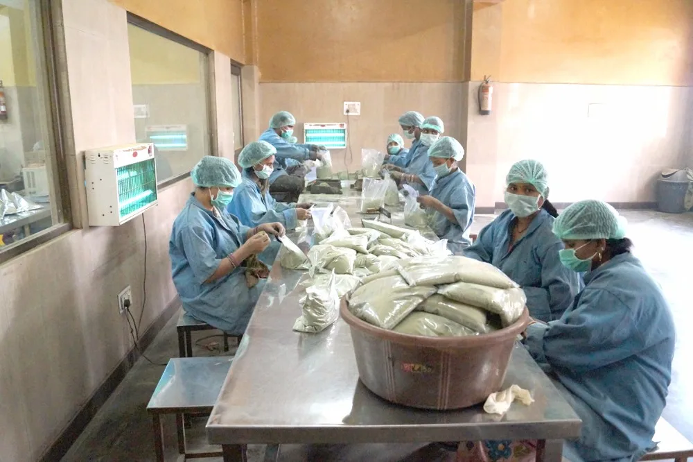 henna powder in bulk quantity