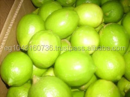 Fresh lemon Adalia