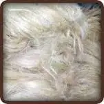 Quality Bulk Raw Cotton raw wool COTTON BALES WASTE FROM SPINING MILLS 100% COTTON BALES WASTE WITH LOGO