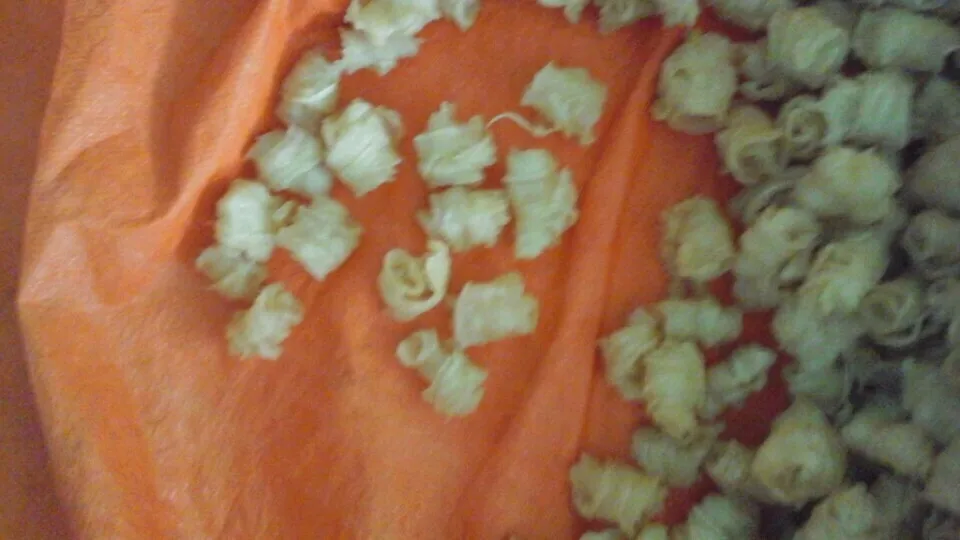 
Dry FISH MAWS TOP QUALITY ORIGIN VIETNAM Bulk Piece HACCP 