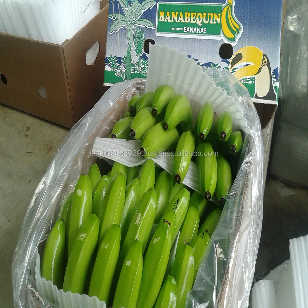 GREEN and FRESH BANANAS!!!