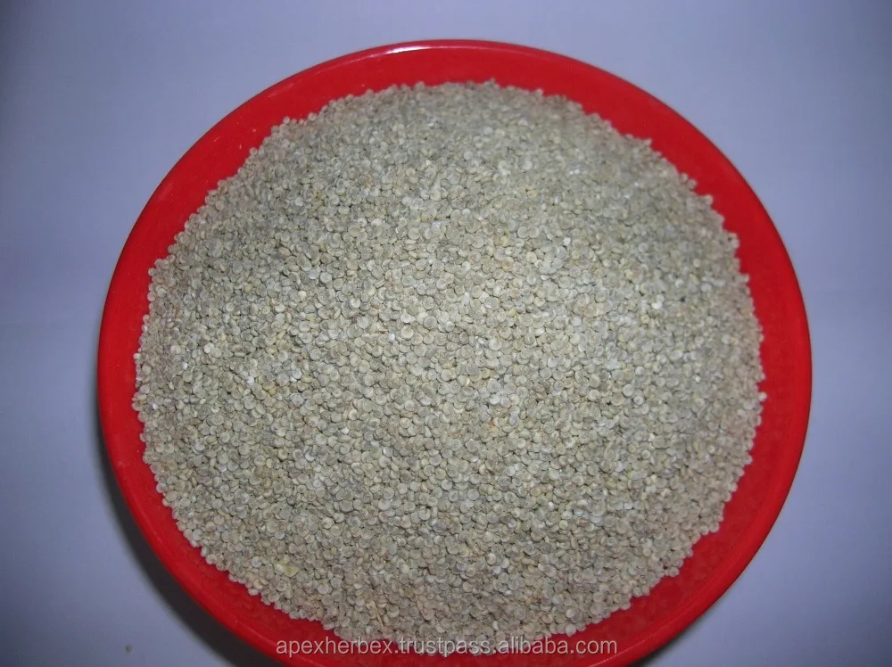 Quinoa  Chenopodium quinoa high quality cleaned Organic