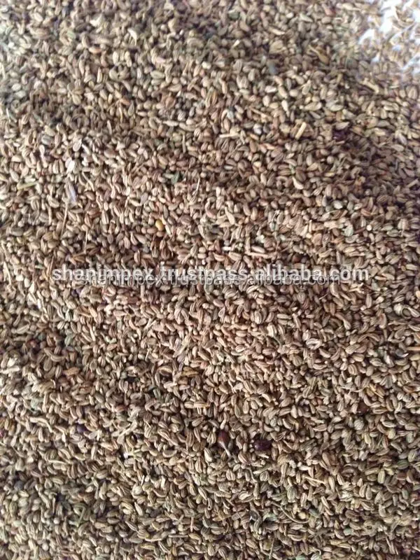 
Agro Commodities Seeds OIL SEEDS 