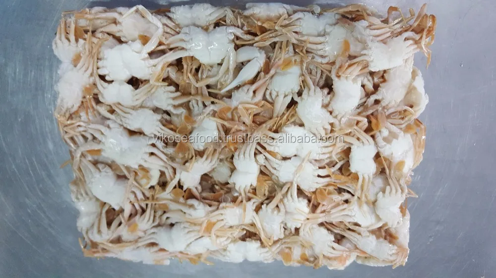 HIGH QUALITY - BABY CRAB