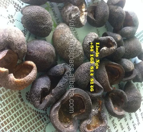 Сушеный морской огурец/цена сушеного морского огурца/+ 84 2835119589