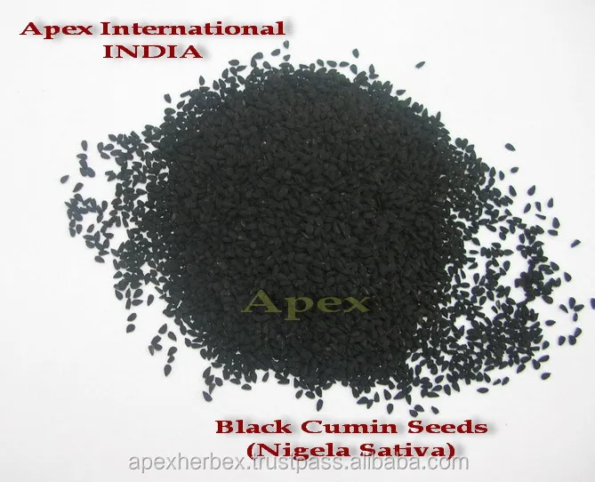 Nigella sativa Seed Kalaunji seeds Sortex cleaned