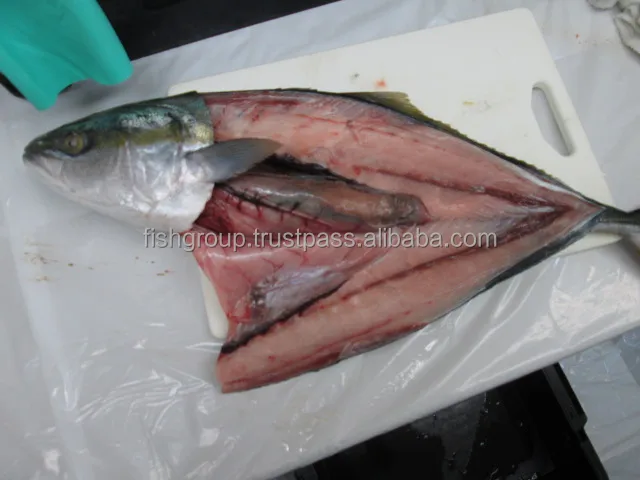 Топ-рейтинг трейдеры морепродуктов срок годности 18 месяцев желтый хвост цельный круглый замороженный блок