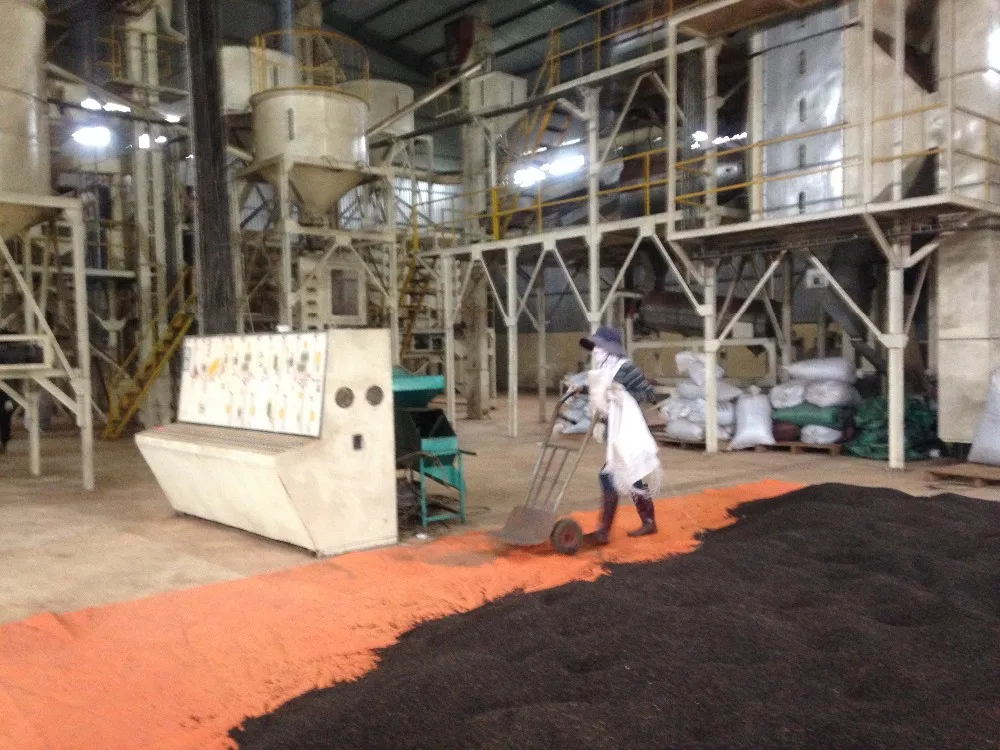 VIETNAM BLACK PEPPER 500G/L, 550G/L, CLEANED, 570G/L ASTA HIGH QUALITY FROM DIRECT SUPPLIER FACTORY