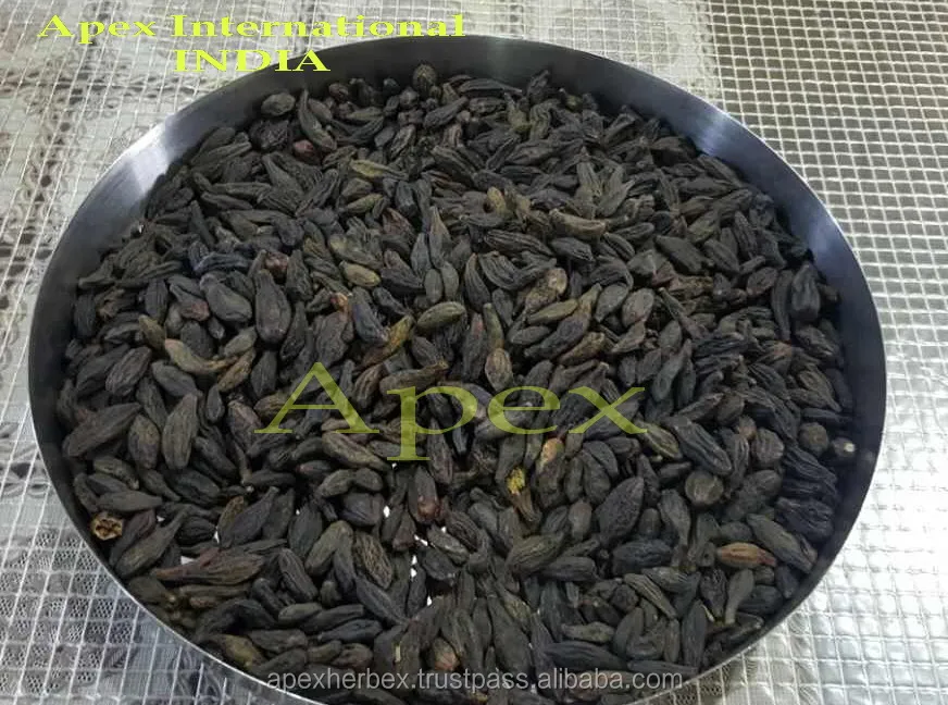 
Whole Fruit Terminalia chebula Black Himej Dried Apex 