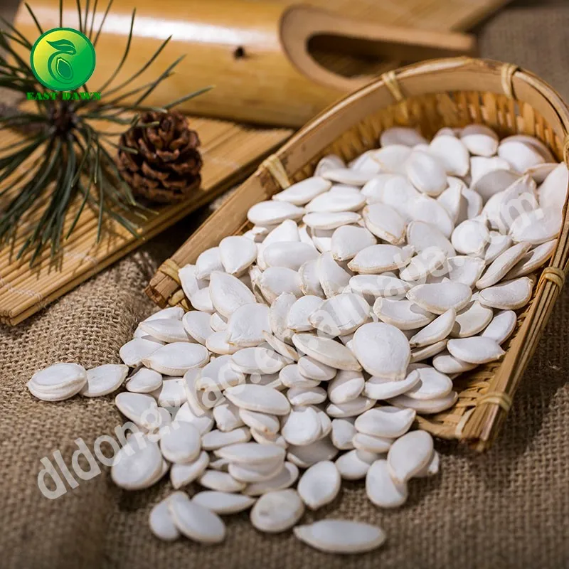 Best Raw Edible Snow White Pumpkin Seeds All Kinds Pumpkin Seeds Buyers