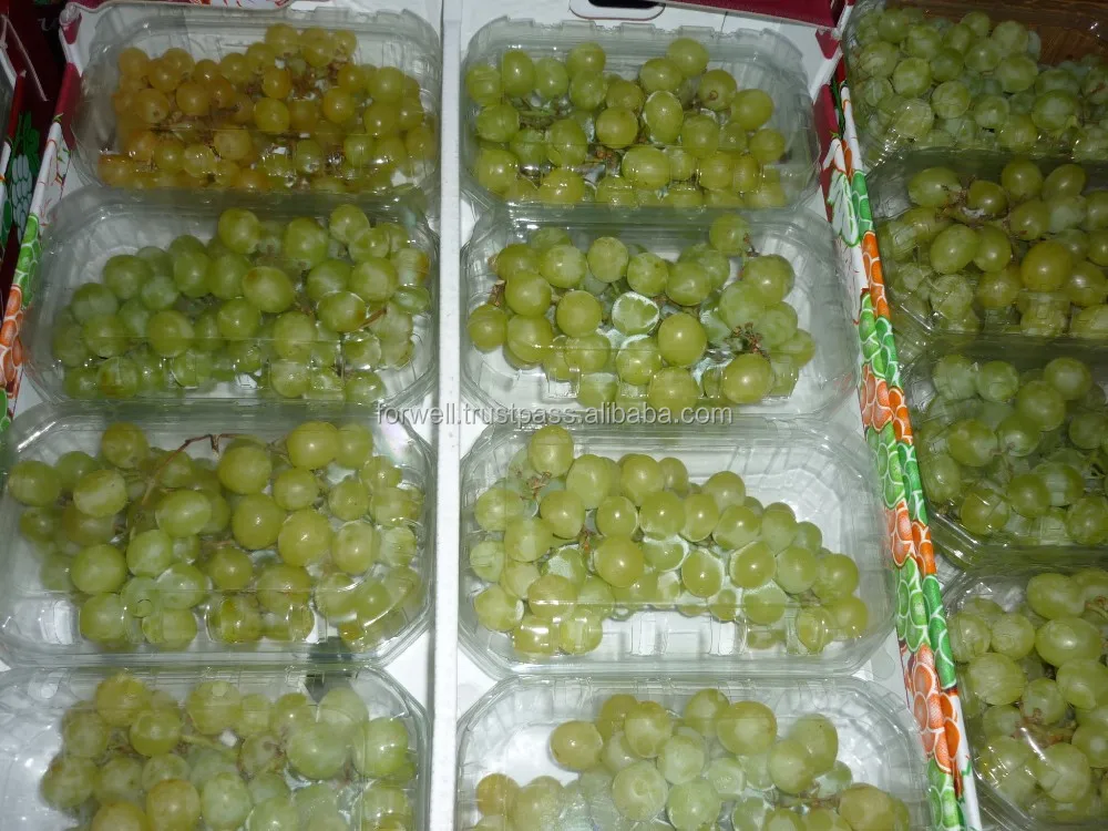 Tasty Fresh Seedless Grapes (Flame & Superior) Class One