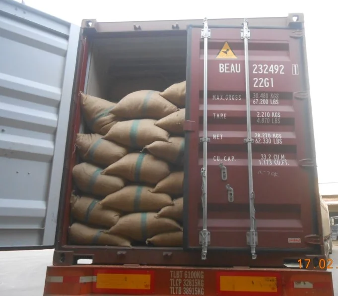 VIETNAM ROBUSTA COFFEE GREEN BEANS