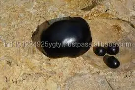  Лучшее качество Shilajit камень