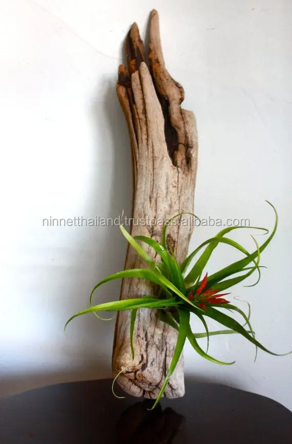 Aquarium Decoration Natural Tree Roots