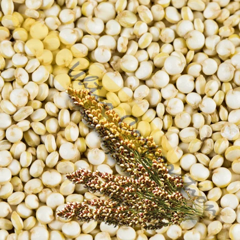 
White Quinoa Grains pesticides free at EU level 