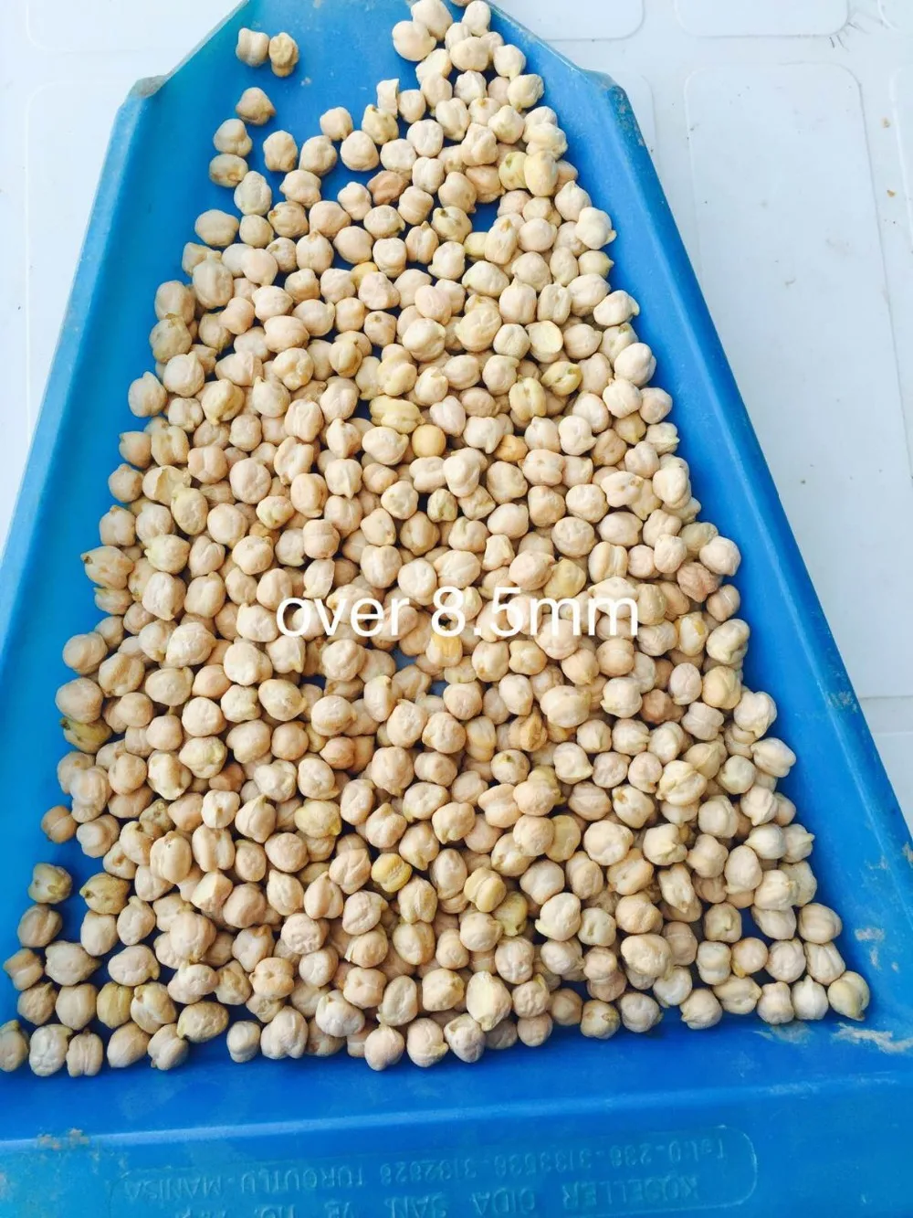 
chickpeas 7mm 8mm 9mm 10mm 