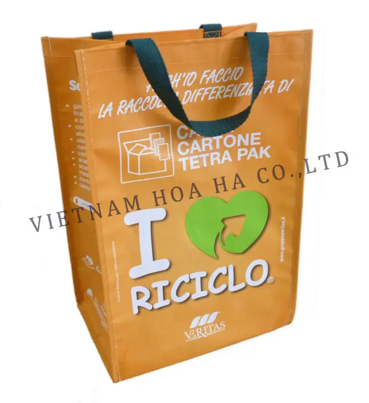 New Vietnam cheap shopping bag, shopping plastic bag