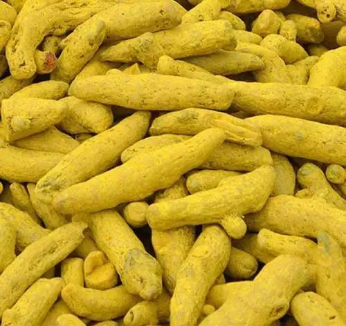 
Turmeric Fingers / Dry Turmeric / Turmeric Roots 