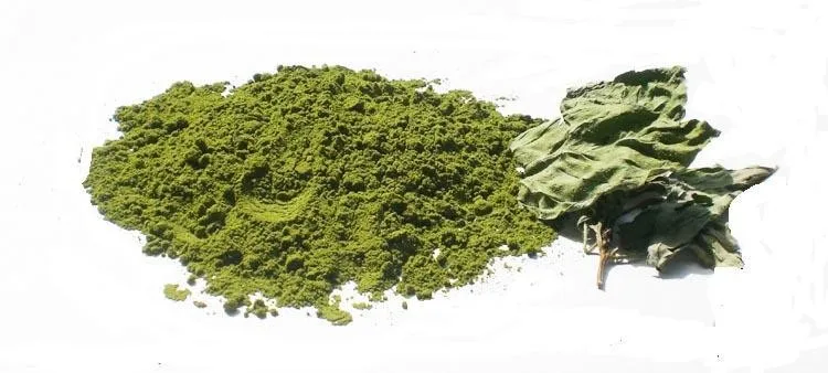 Hot Sale Dried Mint Leaves Powder
