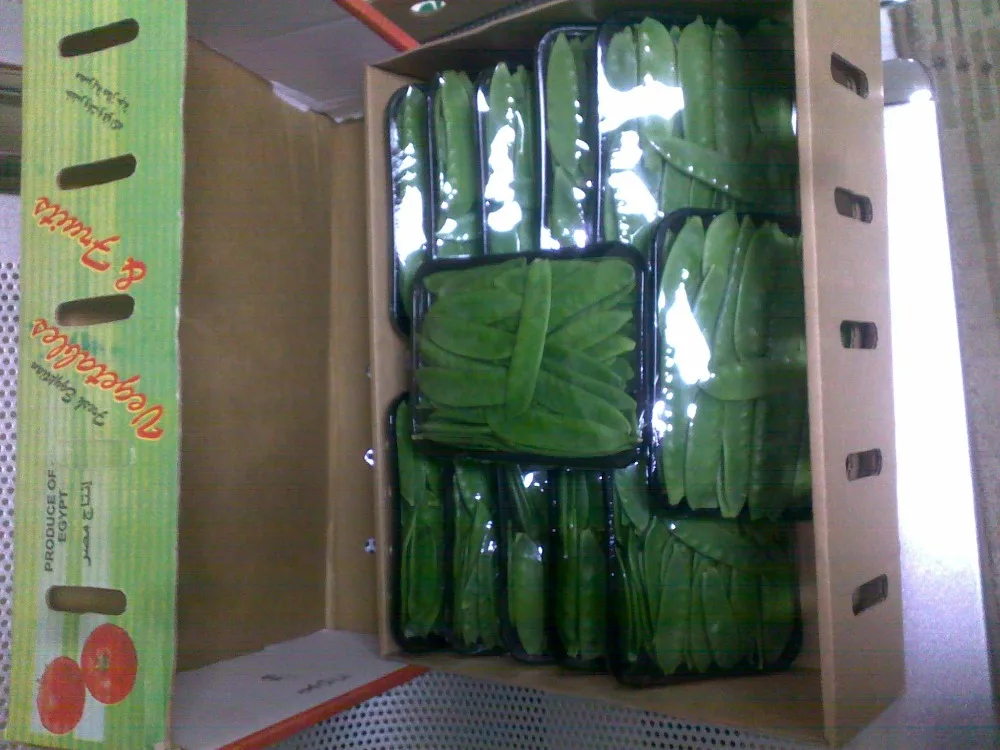 
Egyptian fresh peas 