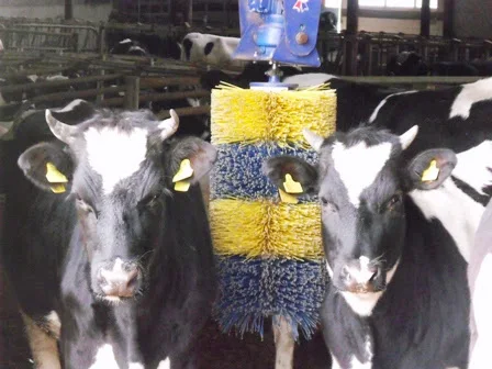 High Quality Livestock Grooming Tools Animal Scratching Brush