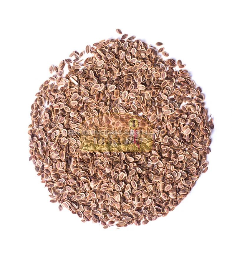 Dill seeds - Anethum graveolens