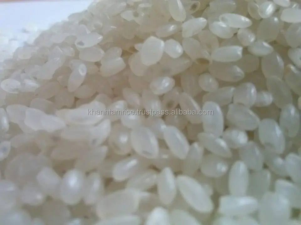Wholesale japonica rice crop hot sale cheap medium round grain 5% broken Vietnam rice for sushi
