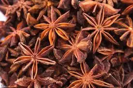 2021 Wholesale Viet Nam Factory Supplier Natural star anise Best Quality For Seasoning Harmless Healthy