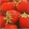  Свежая клубника высокого качества